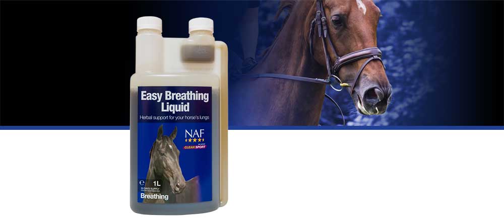 Natural herbal support for healthy lungs and respiratory system