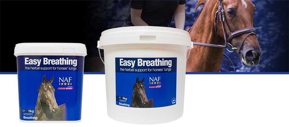 Natural herbal support for healthy lungs and respiratory system