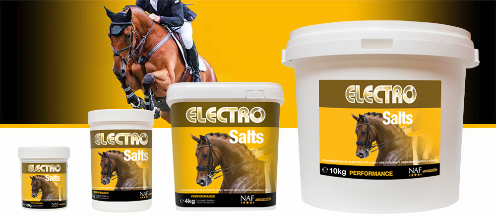 Concentrated formula to replace body salts lost during heavy work or extreme heat