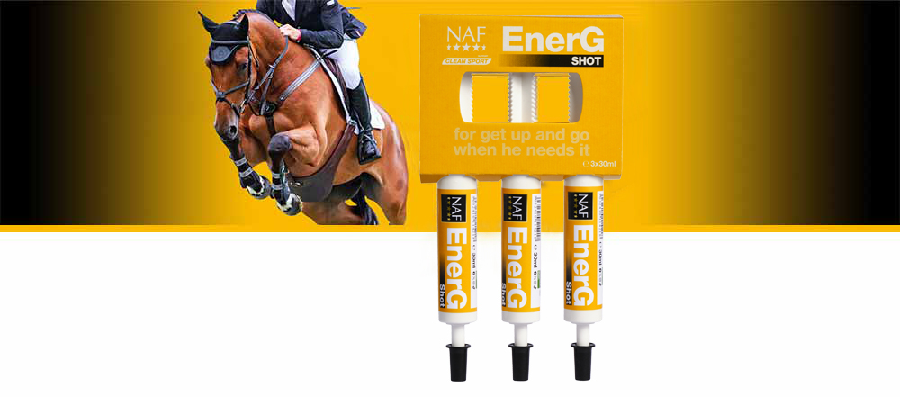 Instant use, for fast release energy, with concentrated amino acids.