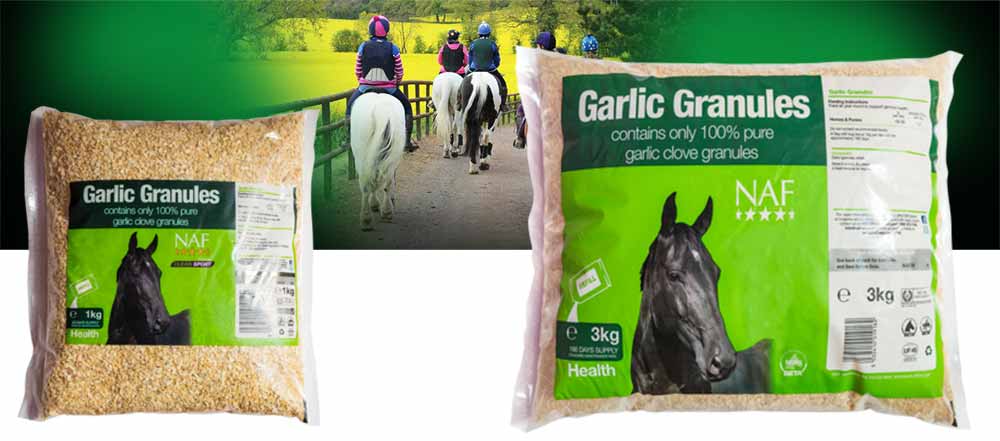 100% pure garlic to support the immune system
