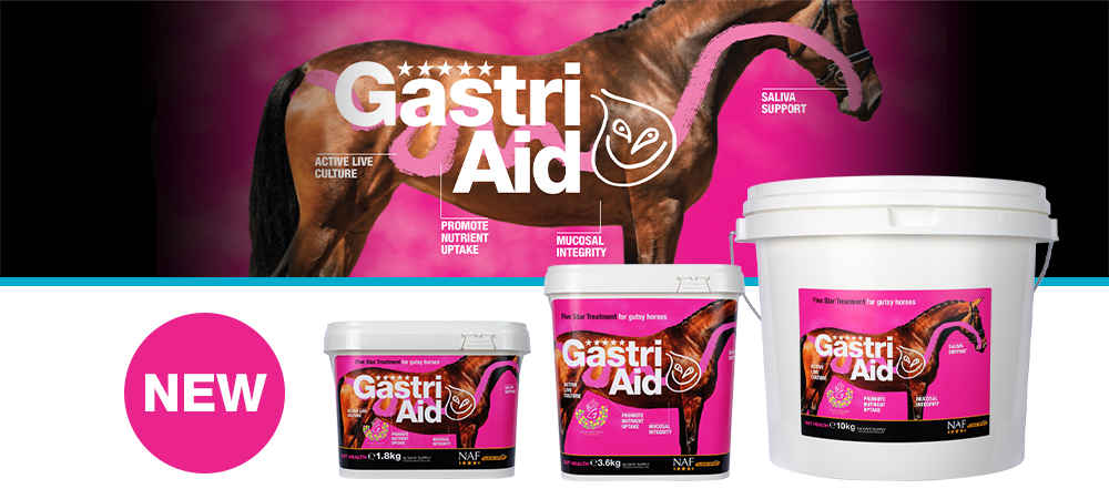 The must have daily supplement for total gut health.
