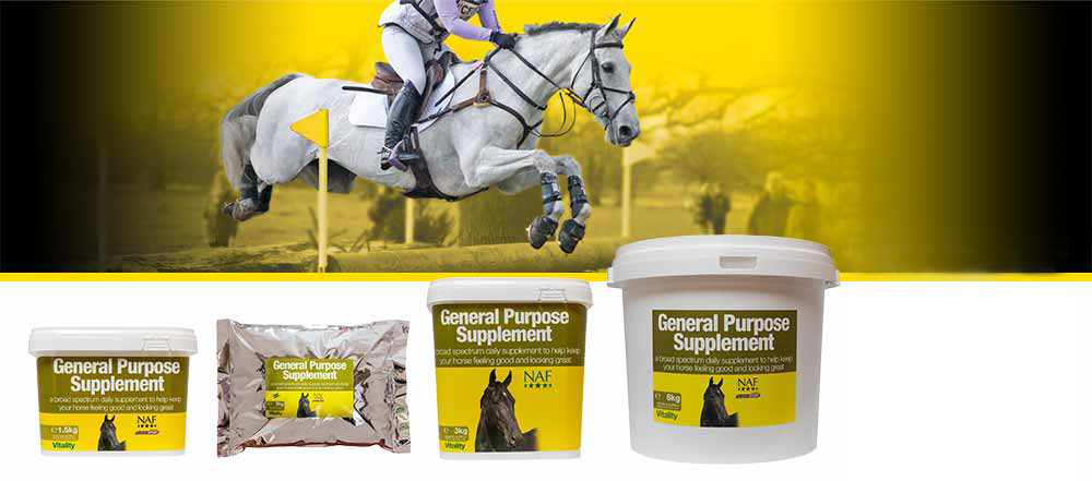Broad spectrum vitamins and minerals to keep your horse in top condition