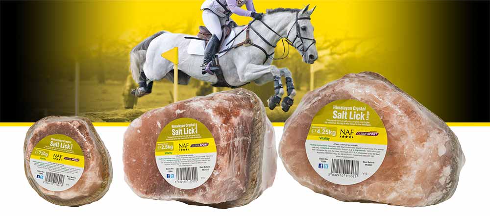 100% pure Himalayan natural rock salt