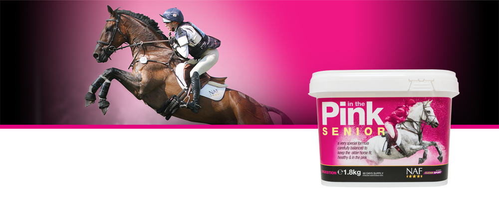 Specially formulated to meet the nutritional needs of the older horse
