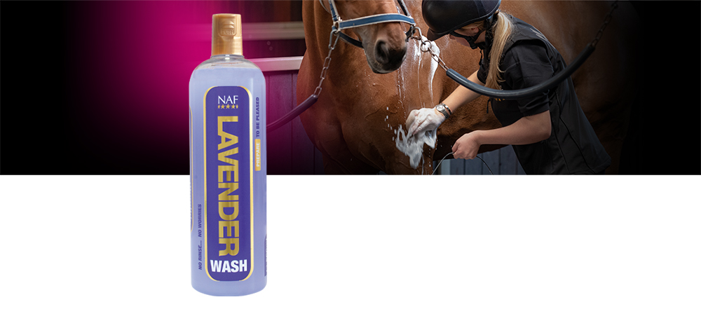 No rinse body wash containing essential lavender oil