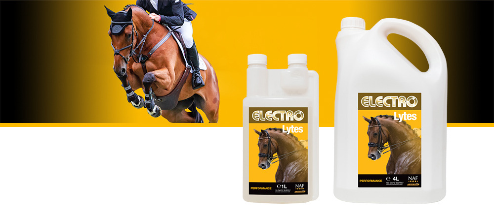 Liquid electrolytes to replace essential body salts lost through exercise or sweating