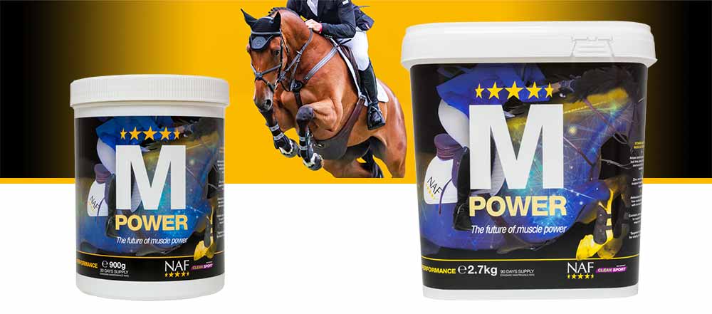 Leading edge nutritional formula to support the natural, healthy development of muscle