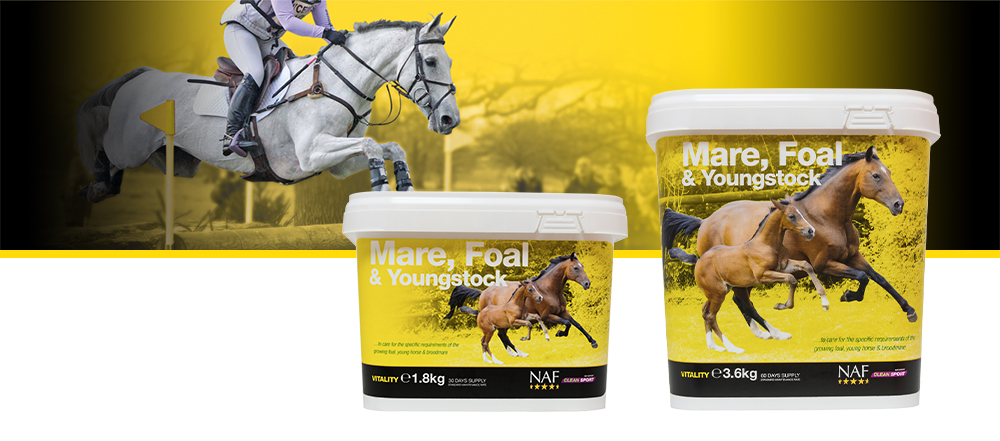 Specifically formulated to support the growing foal, young horse and broodmare