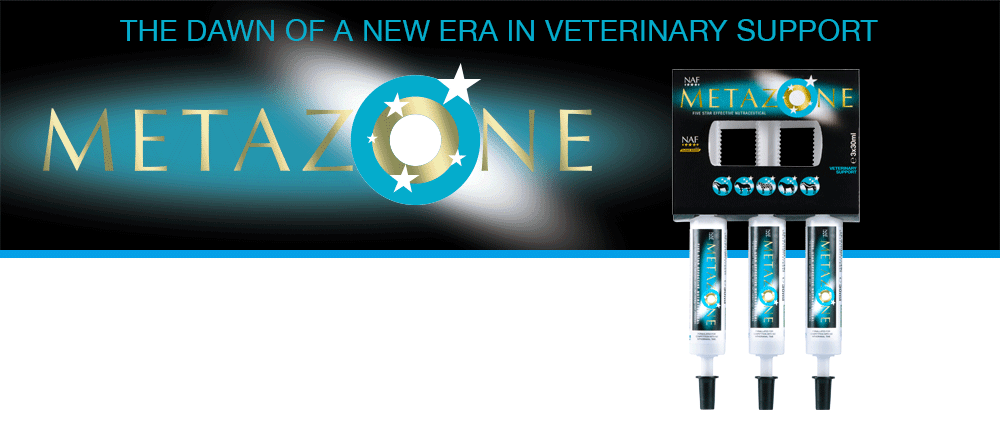 Formulated to support the anti-inflammatory process