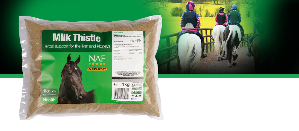For the maintenance of a healthy liver and kidneys