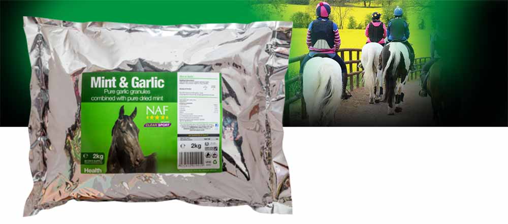 Combines the benefits of both pure garlic and pure mint