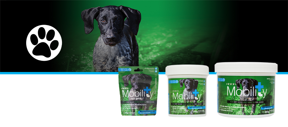 Veterinary strength joint support for active or working dogs.