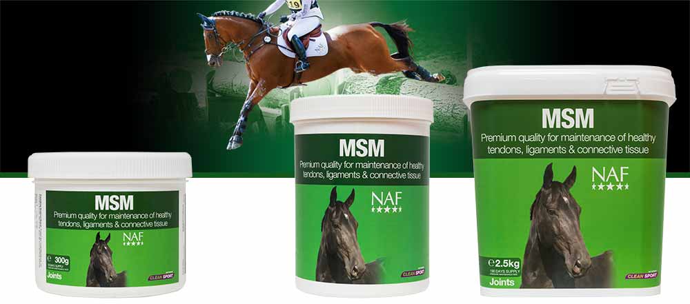Pure MSM for the health of tendons, ligaments, muscle and soft tissue