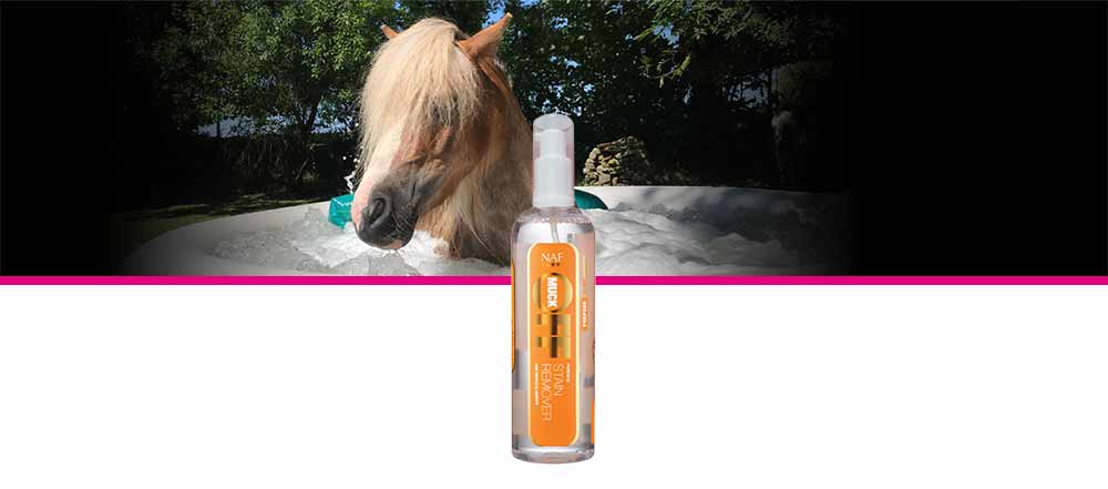 Powerful stain remover to clean up grass and stable stains