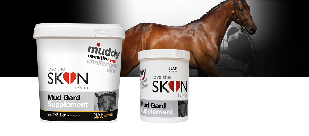 Nutritional support for skin challenged by wet and muddy conditions
