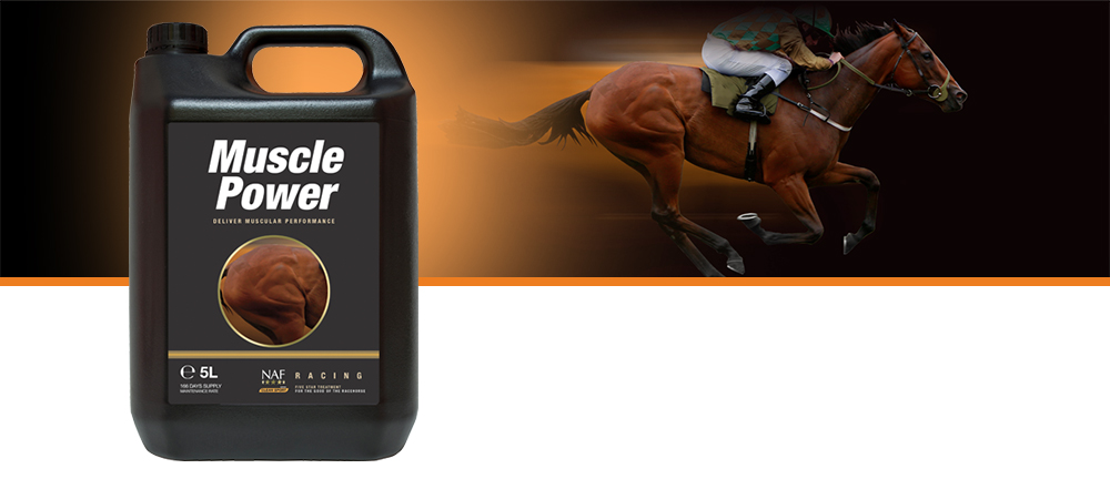 Amino acid formula supporting the building blocks for healthy muscle development