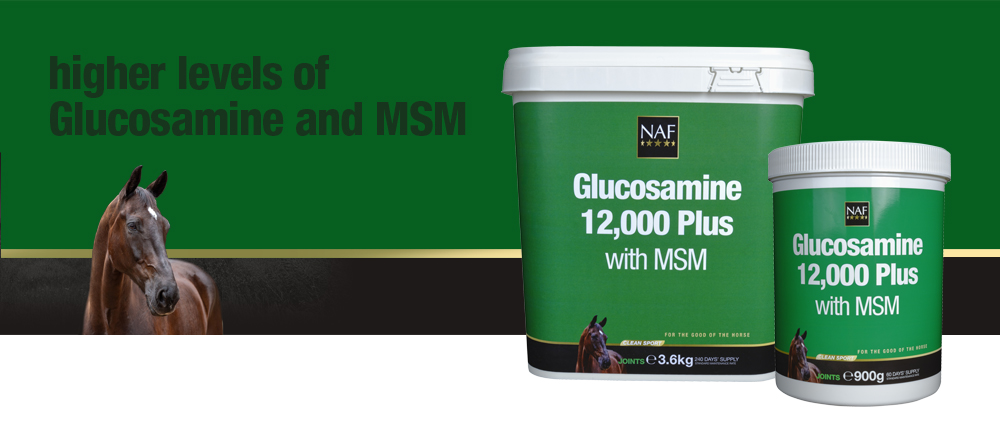For everyday maintenance of joints