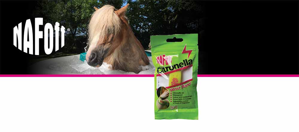 Silicone wristband with citronella to wear during the summer