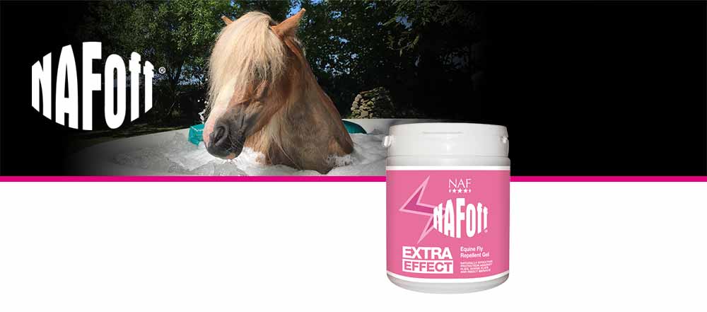 Natural fly repellent gel