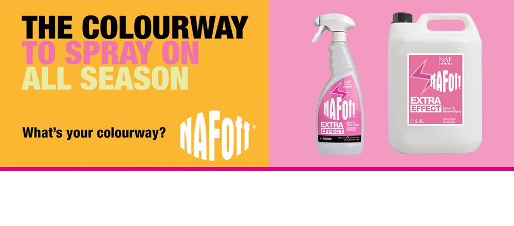 Natural fly repellent
