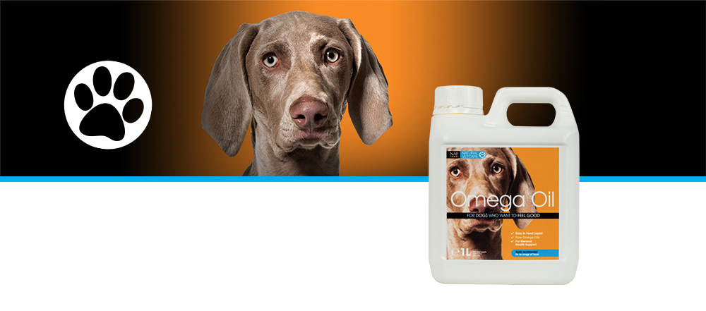 A blend of natural oils rich in Omega 3 and 6 fatty acids.