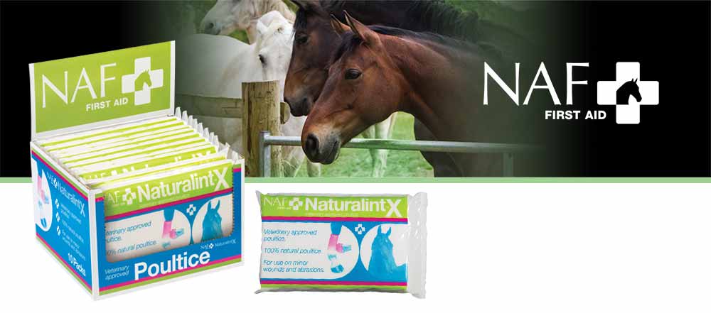 Highly absorbent multi layered dressing for to support the healing of wounds