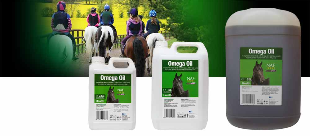 Blend of vegetable oils with Omegas 3, 6 and 9