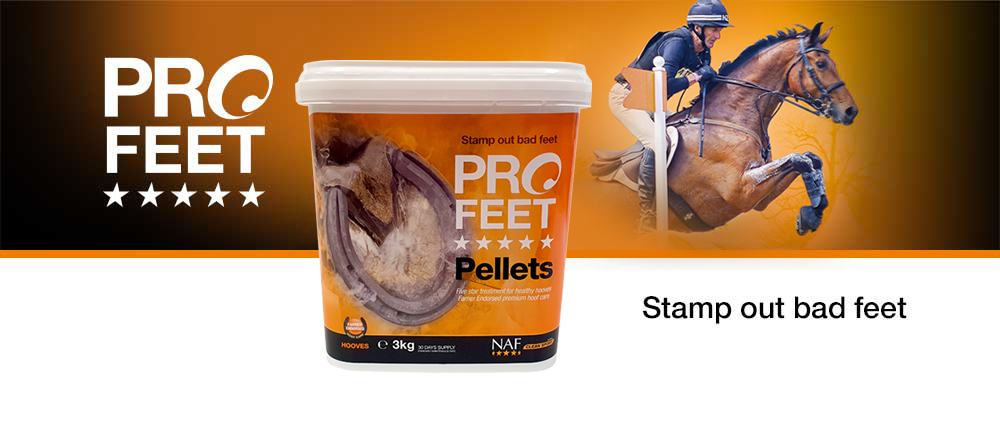 Five Star pellets for strong healthy hooves