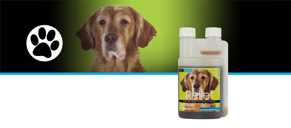 A powerful herbal liquid to target joint comfort in dogs.