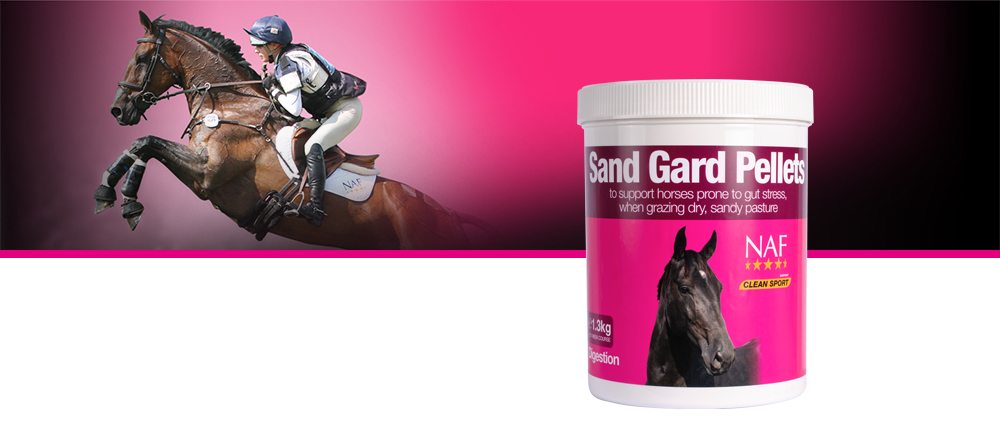 Supports healthy movement throughout the gut to avoid accumulation of excesses