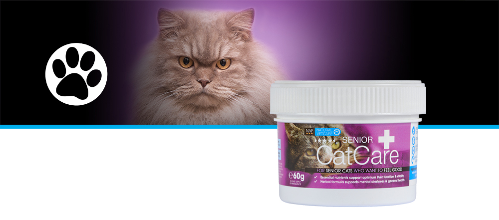 Veterinary strength nutritional supplement for older cats and those in need of kidney support.
