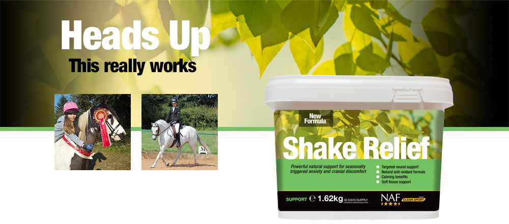 Nutritional support for horses showing signs of seasonal anxiety