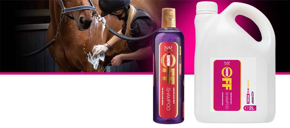 Ultra violet shampoo for a deep clean and bright shine