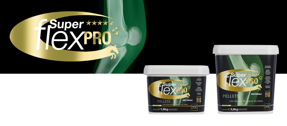 Premium joint support for equine athletes. Market leading levels of key nutrients in a unique synergistic blend. Easy feed, palatable pellets. Vegan formula.