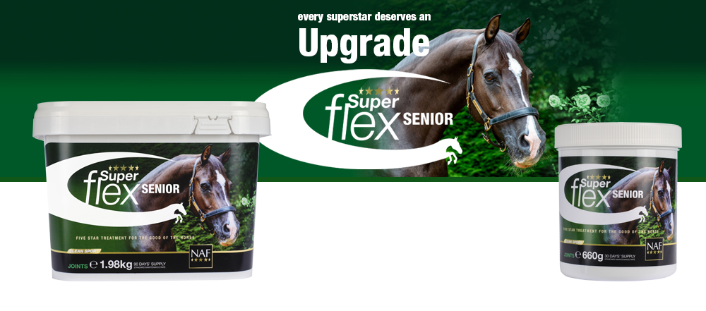 High specification joint support nutrients, for healthy, flexible joints in older horses and ponies.