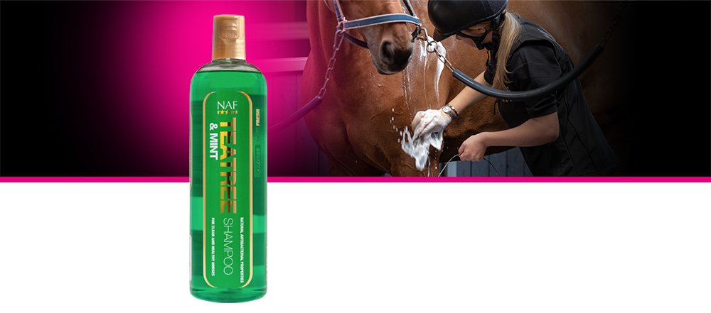 Clean and soothe with this mildly antibacterial refreshing shampoo