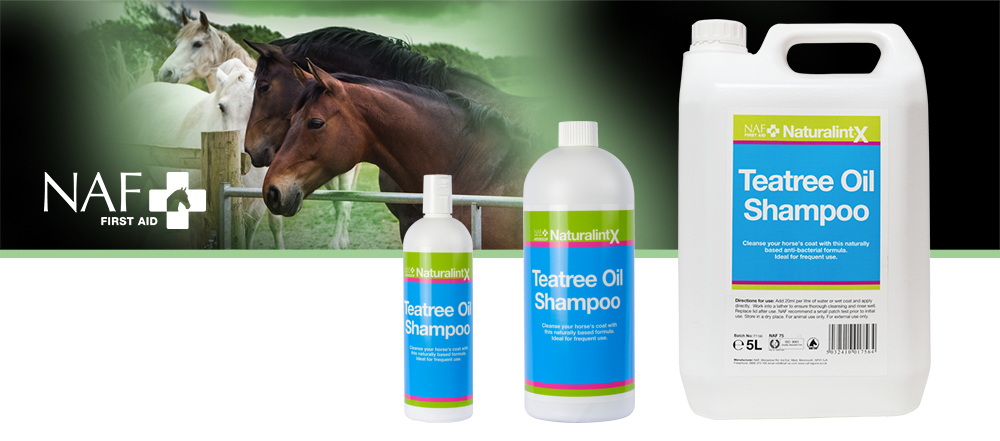 Natural cleansing formula
