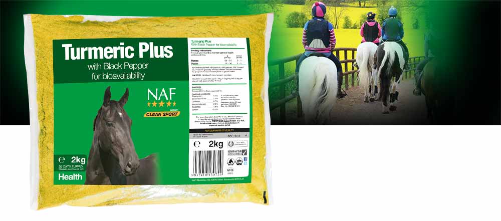 High quality turmeric blended with black pepper