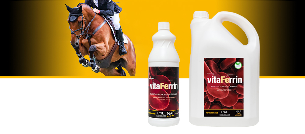 Highly palatable vitamin and mineral solution