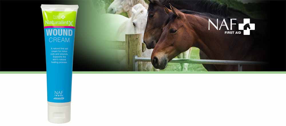 Natural first aid cream to support the healing of minor cuts and wounds