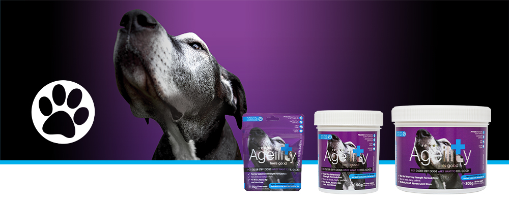 Veterinary strength nutritional support for older stiff doggys.