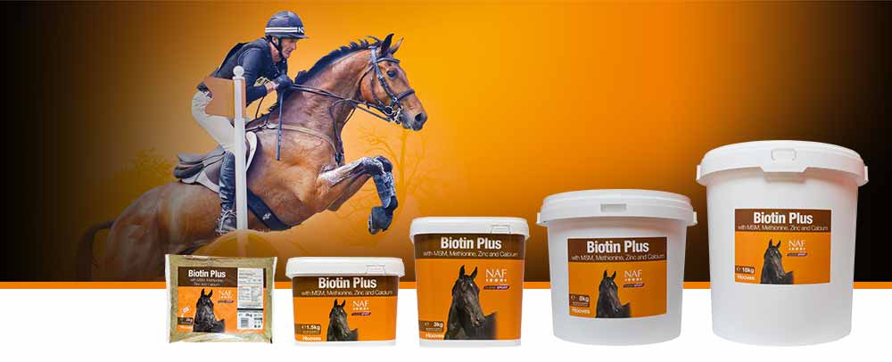 Ideal for everyday maintenance of healthy hooves