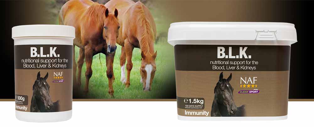 Supplement to support the blood, liver and kidneys