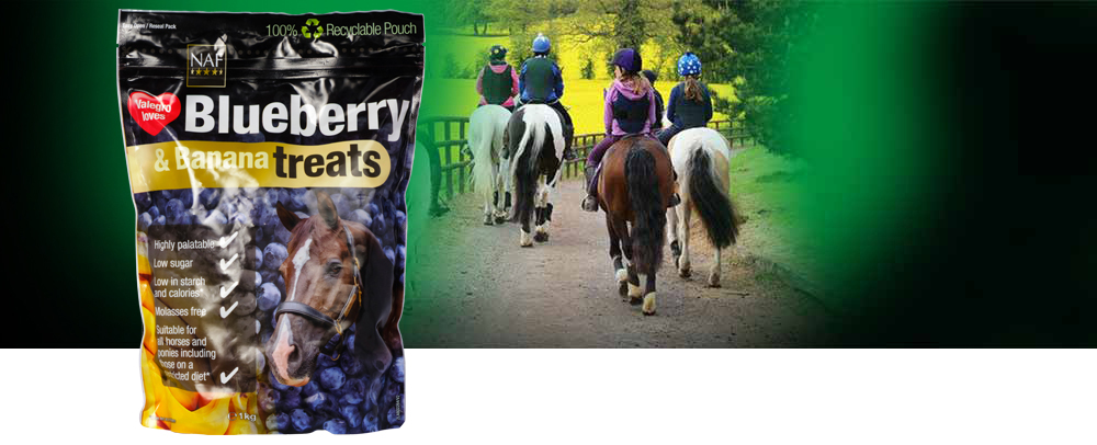 Delicious blueberry and banana flavour treats