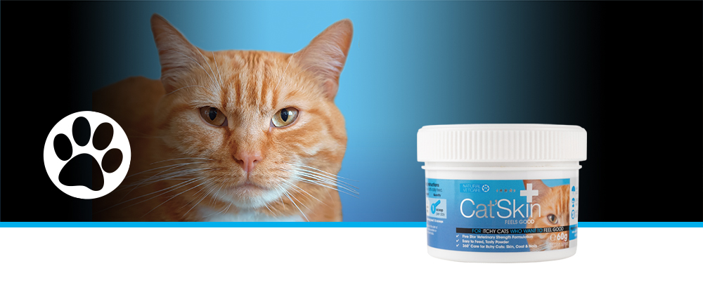 Veterinary strength nutritional support for itchy sensitive skin.