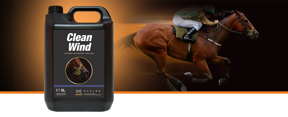 Supports aerobic capacity, respiratory health and immunity