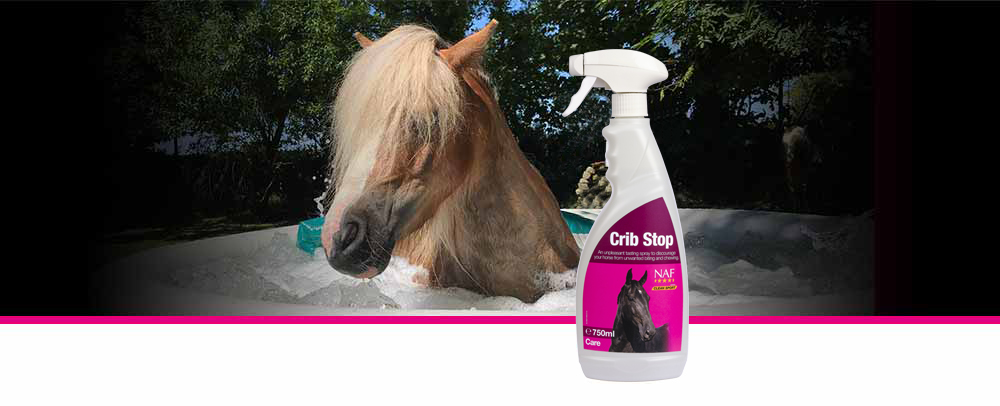 Unpleasant tasting oil based spray to discourage biting of wood and other surfaces