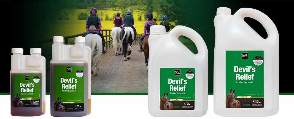 Natural relief to comfort old or stiff joints. <br><br> <strong>This product contains devil's claw which is an FEI prohibited substance</strong>