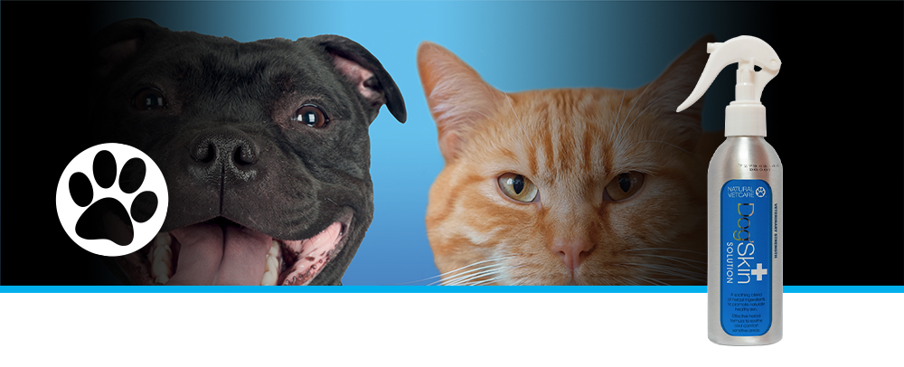 Veterinary strength, effective herbal formula to soothe and comfort sensitive areas of skin.